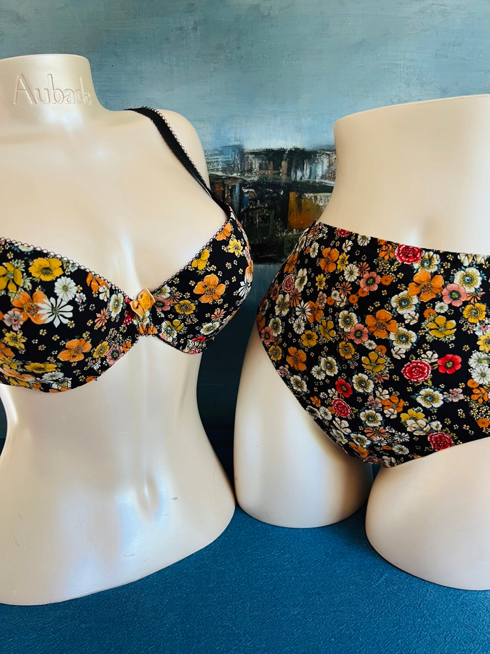 Culotte slip haut - PRAIRIE CITY - Lise Charmel ANTIGEL