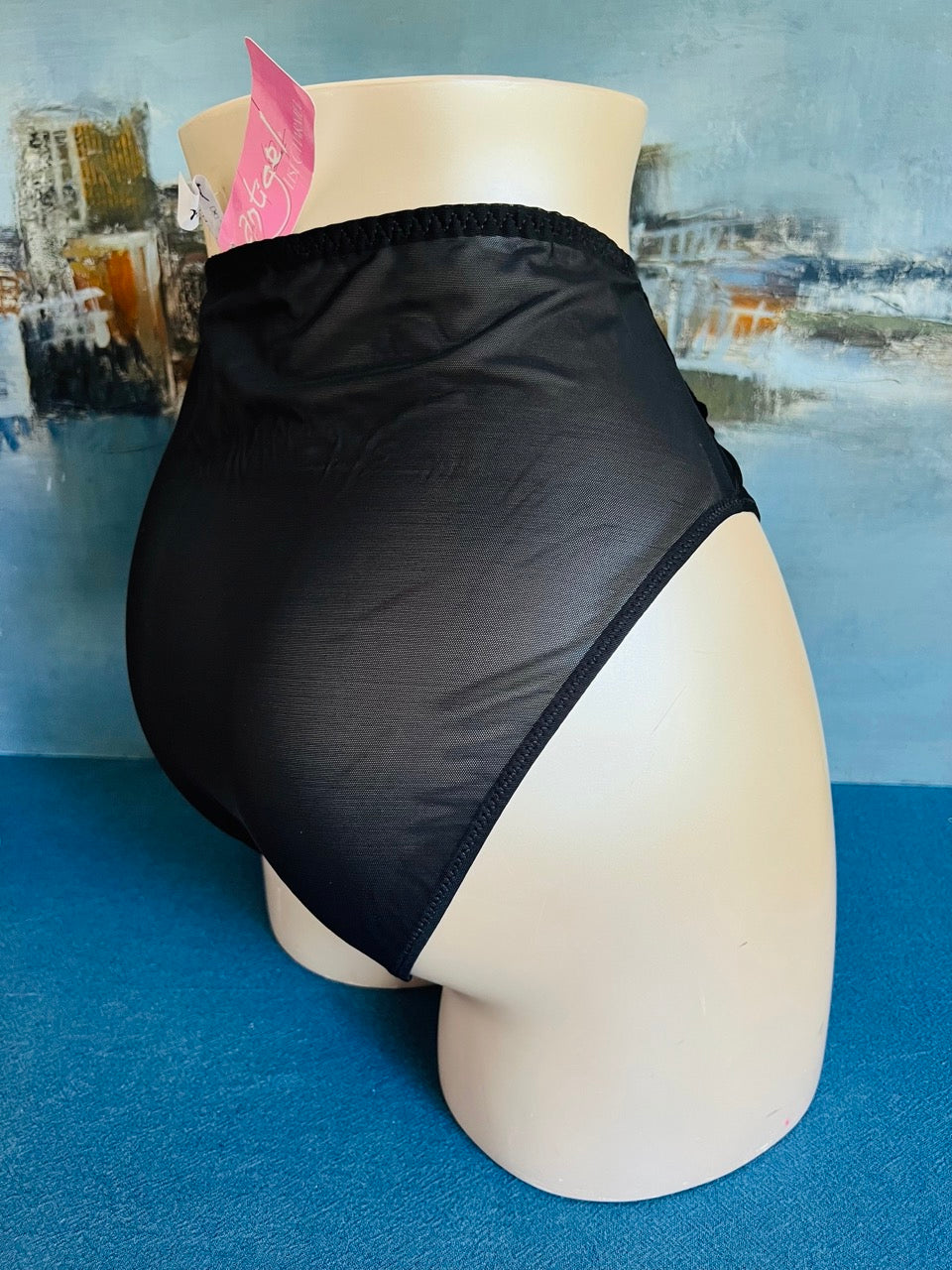 Culotte slip haut - VELVET DELICE - Lise Charmel ANTIGEL