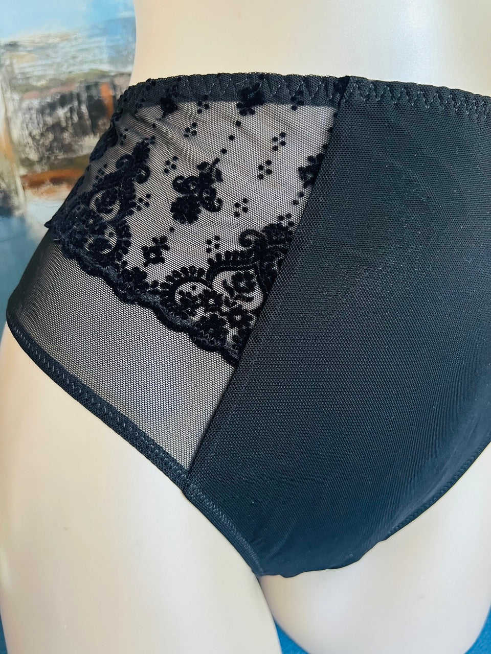 Culotte slip haut - VELVET DELICE - Lise Charmel ANTIGEL