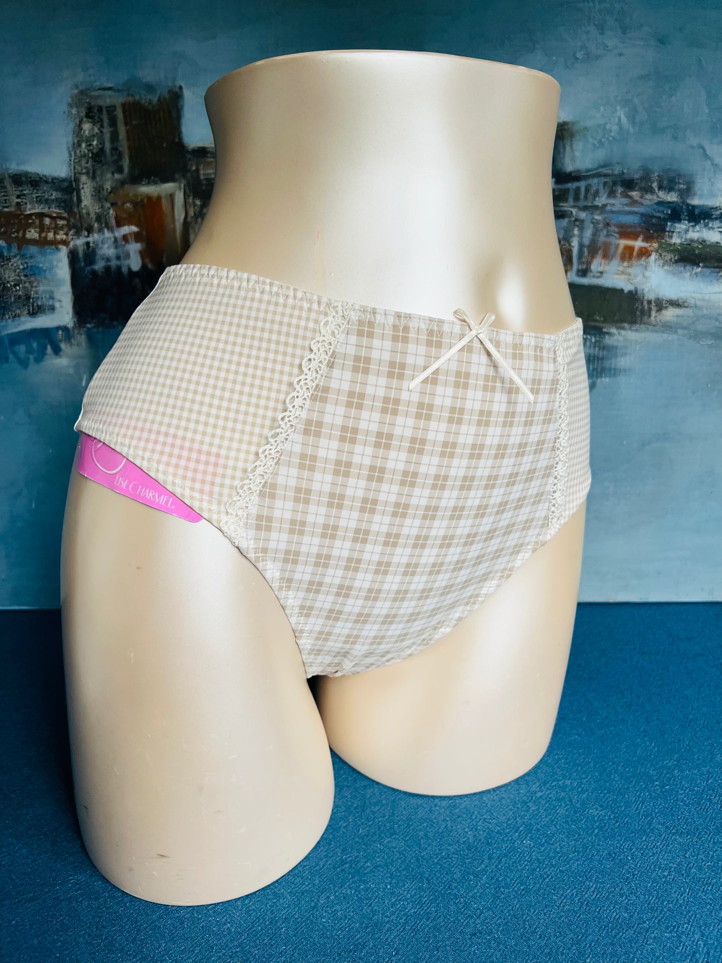 Culotte slip haut - COUNTRY - Lise Charmel ANTIGEL